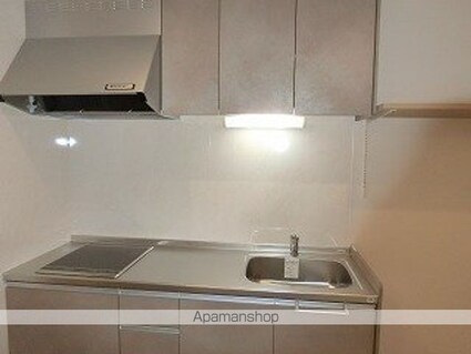 グリューンＳ[1LDK/33.12m2]のキッチン