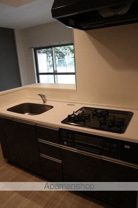 イルミナーレ学大[1LDK/46.56m2]のキッチン