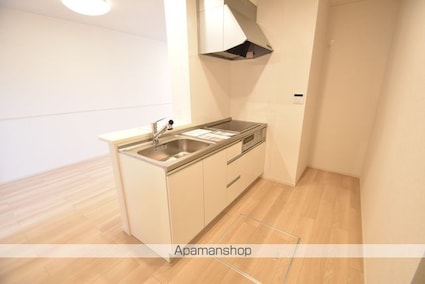 ファイン・ビレッチⅨ[1LDK/50.05m2]の内装6