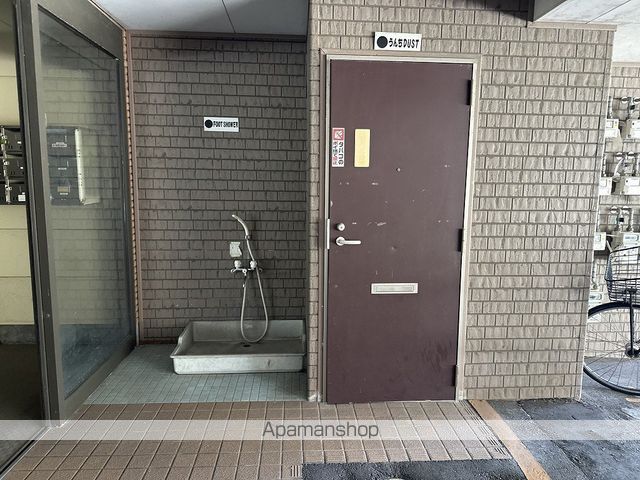 サンセベリアのその他写真