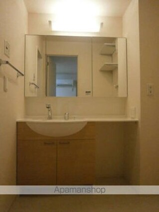 Ｔ’ｓ　ｓｏｕｔｈ[2DK/45.29m2]の洗面所