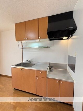 ロザージュⅡ[2DK/44.72m2]のキッチン