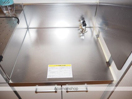 アケイシャ御舘[1R/33.3m2]の内装6