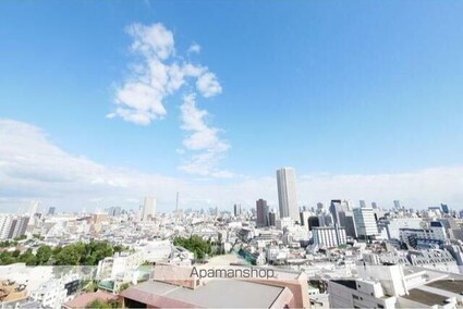 コンフォリア新宿イーストサイドタワー[1LDK/55.53m2]の眺望