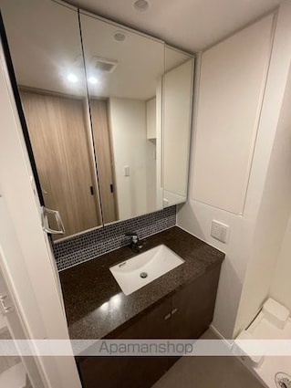 ザ・パークハビオ中野新橋[1LDK/41.79m2]の洗面所