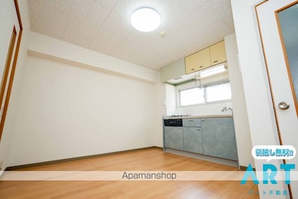 サザンコートⅢ[2DK/41.85m2]の内装4