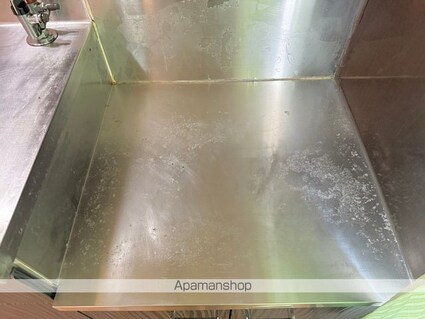 滋賀県彦根市中藪町[2LDK/50.78m2]の内装5