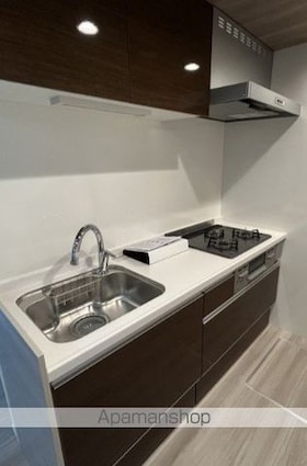 セレスティア柴又[1LDK/33.95m2]のキッチン