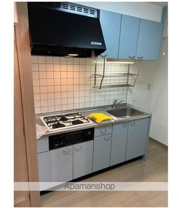 パレドール玉川[1K/30.18m2]のキッチン