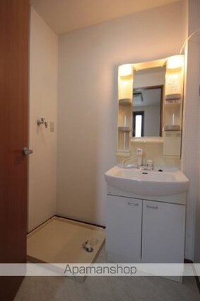 パレス仲市[1R/30.58m2]の洗面所