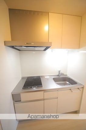 ルピナス堀之内[1R/25.31m2]のキッチン