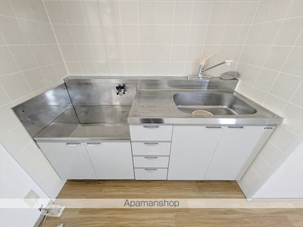 ロイヤルパレス新倉　Ｂ棟[2DK/48.6m2]のキッチン