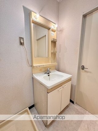 シルバーピア緑町[1K/28m2]の洗面所