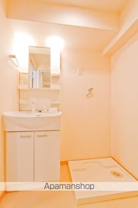 ウィステリア櫻小路[1LDK/40.18m2]の洗面所