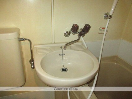 プラザドゥクリムゾン[1R/14m2]の洗面所