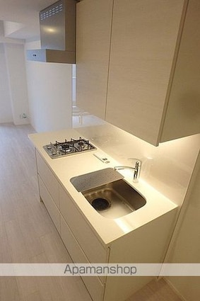 ザ・パークハビオ新宿[1R/25.17m2]のキッチン