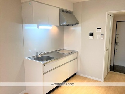 滋賀県彦根市小泉町[1DK/29.99m2]のキッチン