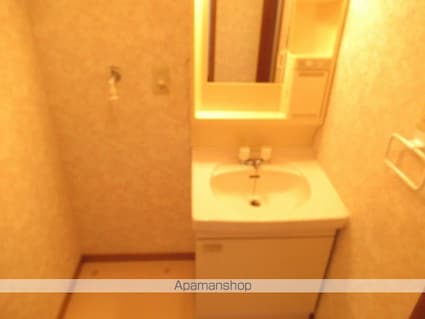 タウンハウスＦＵＪＩ[3DK/58.38m2]の洗面所