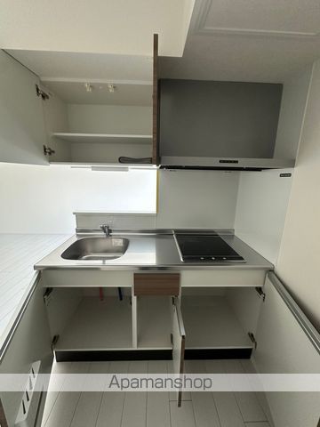 レピュア小石川レジデンスIIの内装写真