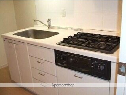 カスタリア新宿御苑[1R/33.57m2]のキッチン