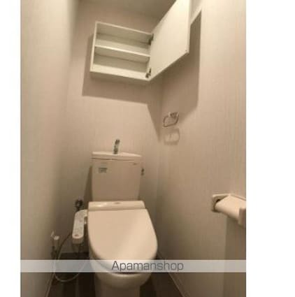 フォーチュンドゥミール[1K/28.57m2]のトイレ