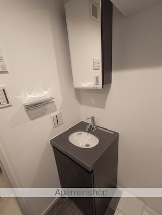 レピュア豊島園レジデンス[1R/24.01m2]の洗面所