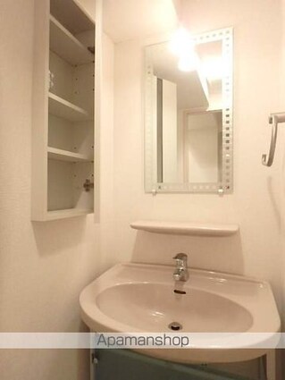 ガラ・ステージ大山[1R/28.76m2]の洗面所