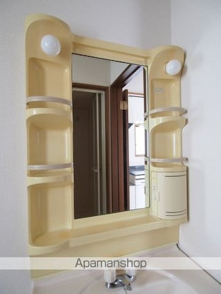 フレグランスミツシ[2DK/37.18m2]の洗面所