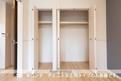 アウラティエ[1LDK/42.38m2]の収納