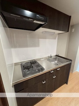 ＰＥＴＡＬＳ新宿（ペタルズシンジュク）[1K/27.78m2]のキッチン