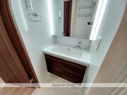 Ｇｒａｃｅ　Ｙａｍａ（グレイス　ヤマ）[1LDK/42.93m2]の洗面所