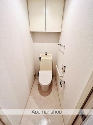 Ｂｒｉｌｌｉａ　ｉｓｔ　三軒茶屋　アイビーテラス[1R/45.16m2]のトイレ