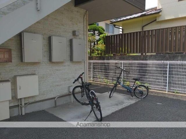 チェリーブロッサムのその他写真