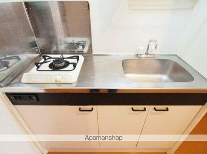 プレシャスコート[1K/29.14m2]のキッチン