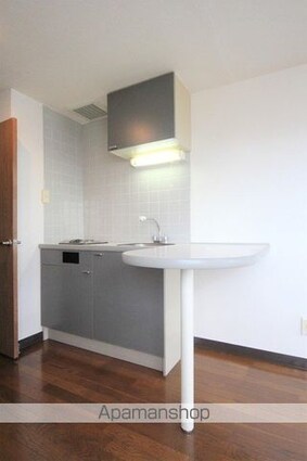 ベルメゾン生石南[1R/22.54m2]の内装3