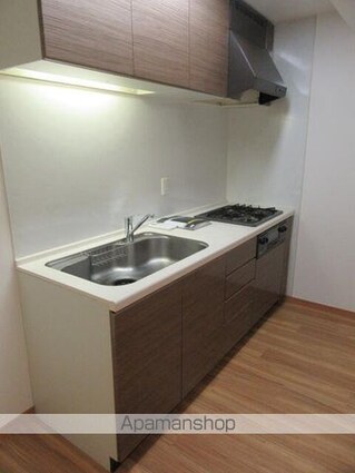 ドゥーエ東池袋[1LDK/54.3m2]のキッチン