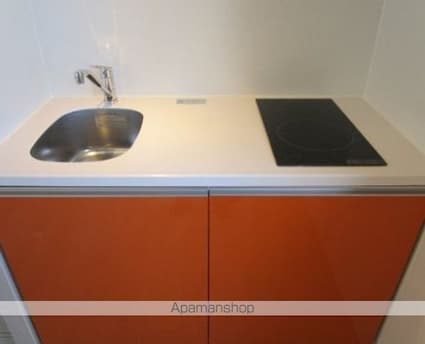 Ｐｌａｉｓａｎｔ江古田[1DK/21.28m2]のキッチン