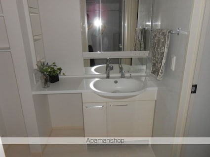 モルゲンロート　　星[1LDK/45.04m2]の洗面所