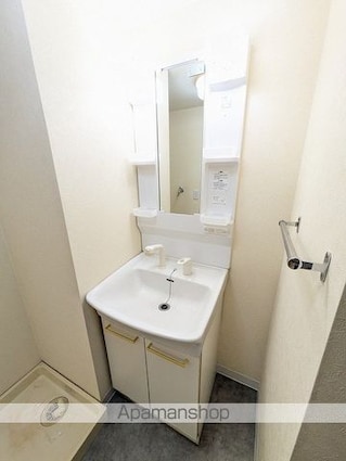 ビューテラス大谷[2LDK/56m2]の洗面所