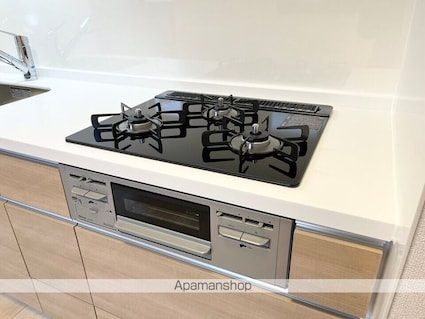 ブリリアントⅡ[1LDK/49.17m2]の内装3