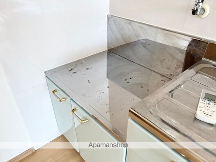 コーポＴＡＭＥＮＡＧＡ[2LDK/60.72m2]の内装3