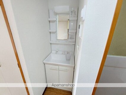 シャトルハイツ[1R/24.17m2]の洗面所