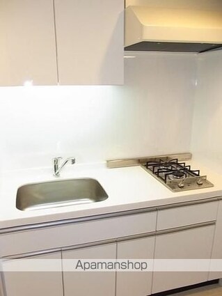 パークアクシス高田馬場[1LDK/34.08m2]のキッチン