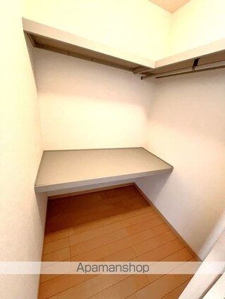 サウザンドタウン　Ｃ棟[1LDK/42.72m2]の収納