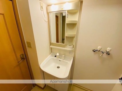 ヴィラ柏木[2DK/42.77m2]の洗面所