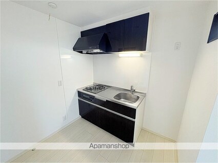 ＲＩＺＥＳＴ東照宮[1R/21.75m2]のキッチン