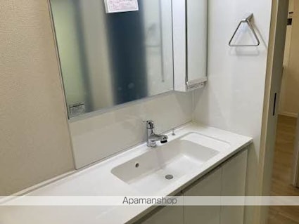 べレオ・ぺリファニア[1SLDK/53.69m2]の洗面所