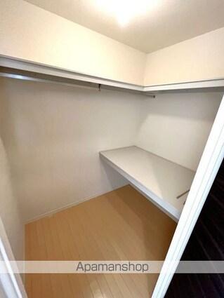 グリーンゲイト　Ⅳ棟[2LDK/62.73m2]の収納