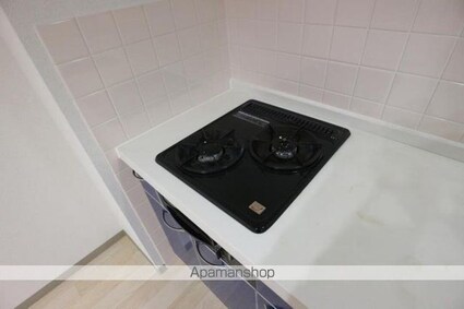 スカイコート[2DK/43.74m2]の内装3