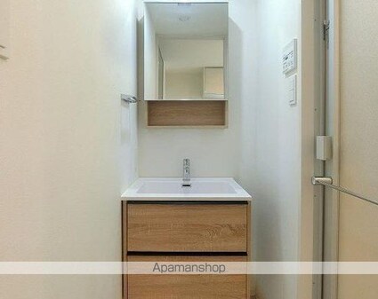 ＡＬＴＥＲＮＡ亀戸Ⅲ[1DK/29.57m2]の洗面所